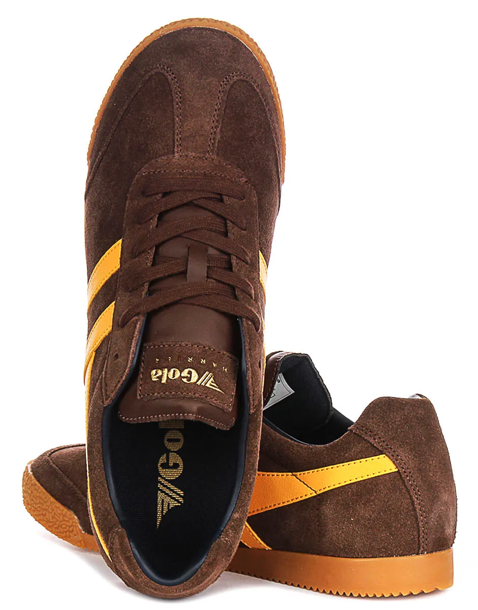 Arch support Gola Classics Harrier In Coffee For Men