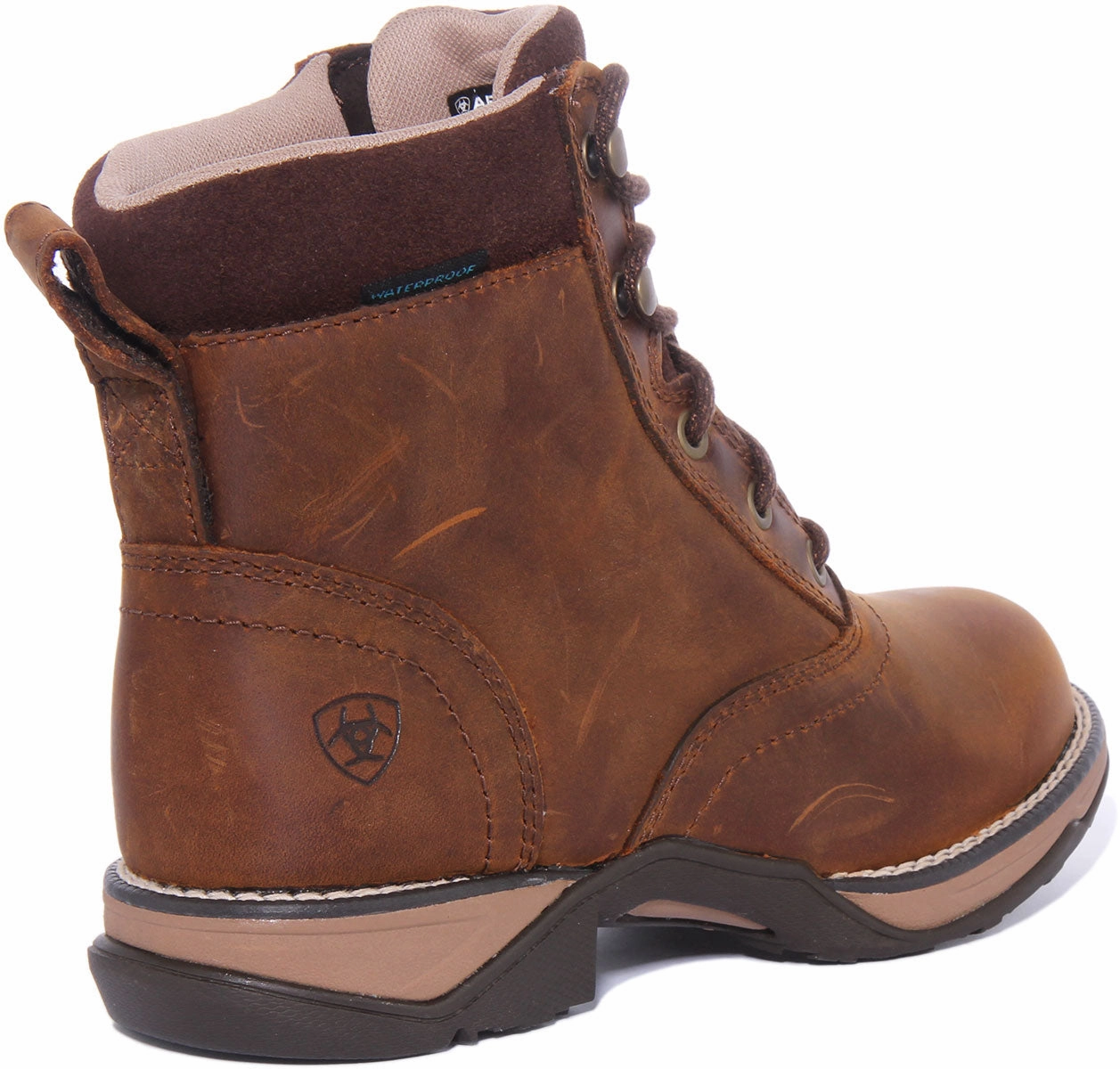 Ariat Anthem H20 In Brown For Women Comfort Mesh