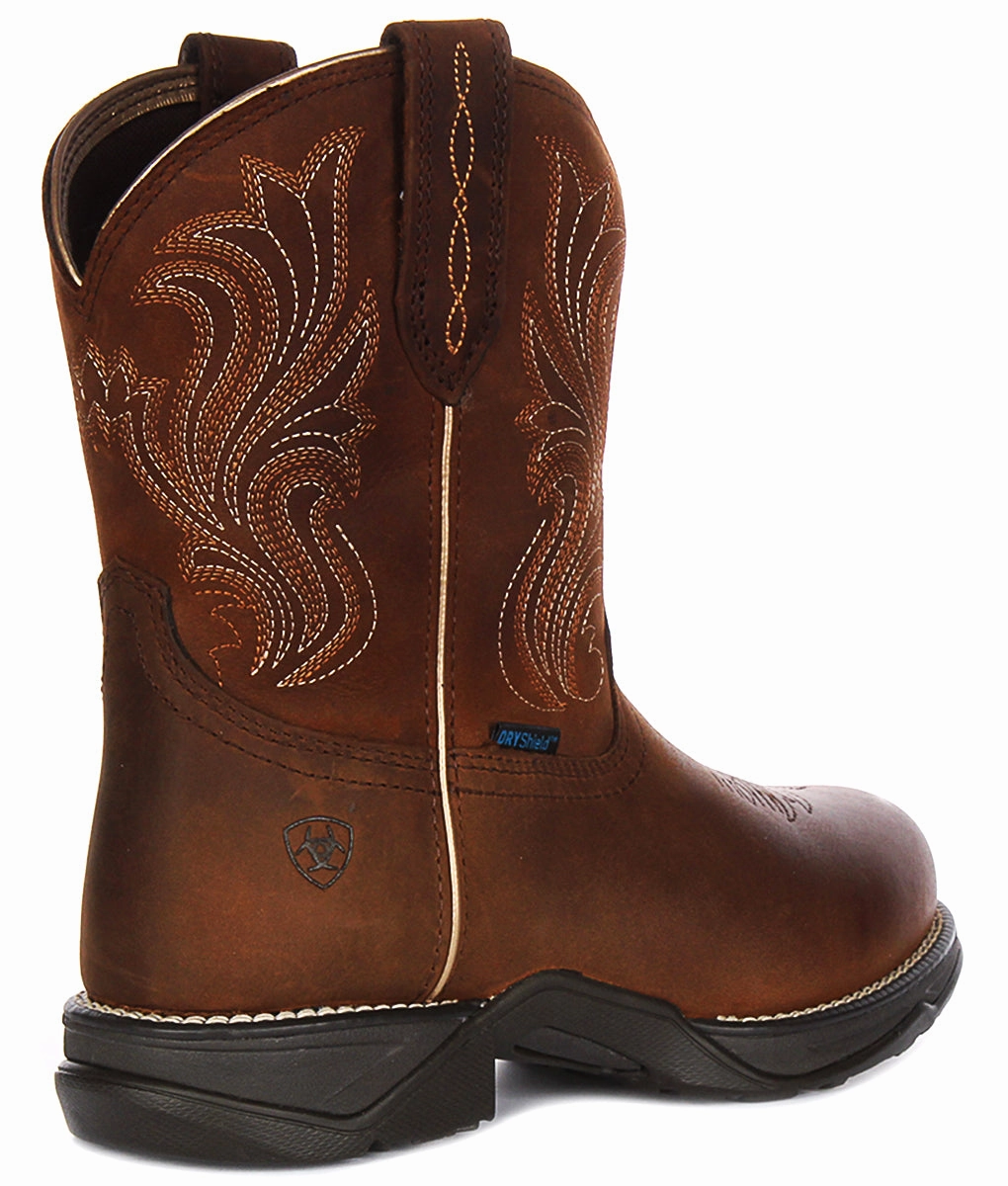 Ariat Anthem In Brown For Women Energy Cushion