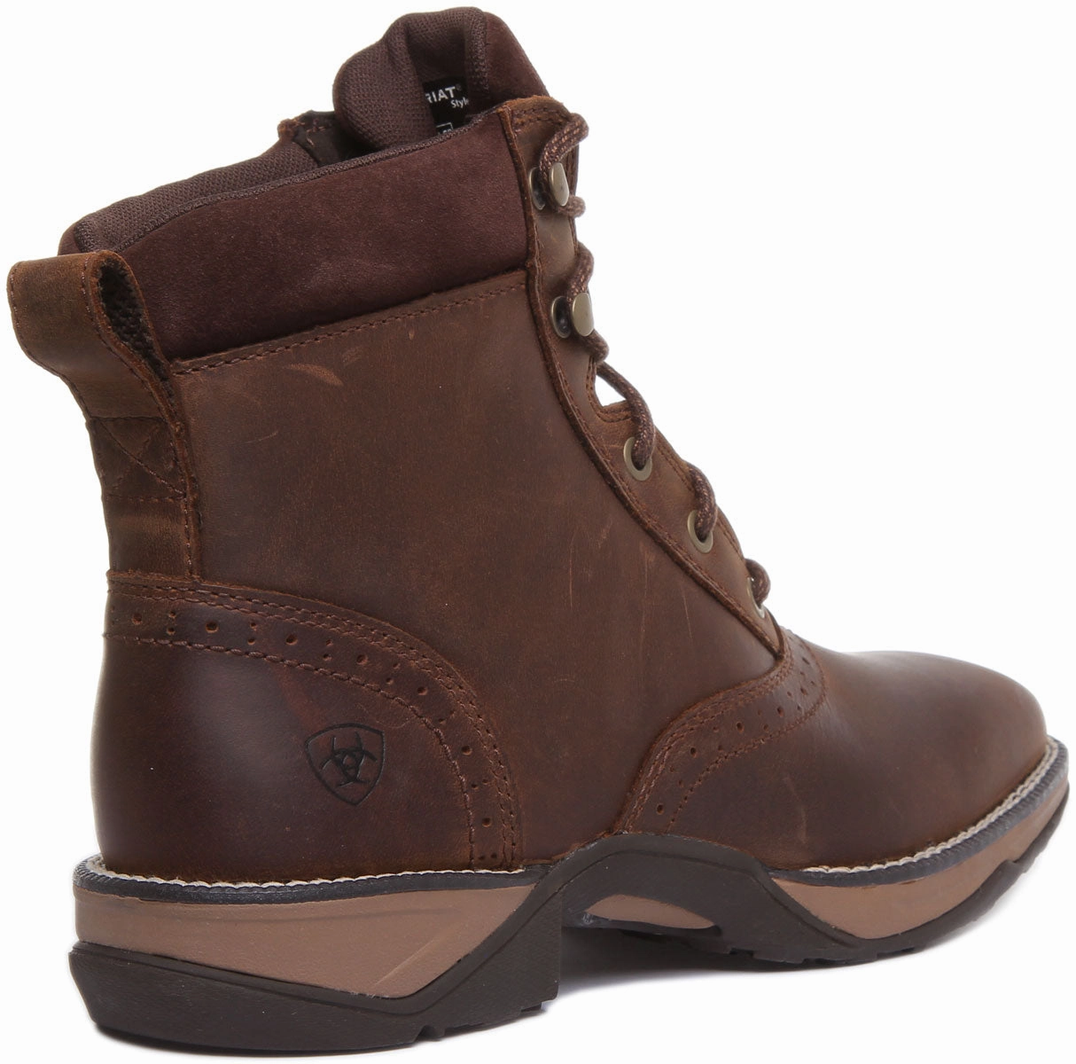 Ariat Anthem Lacer In Dark Brown For Women Outdoor Adventure