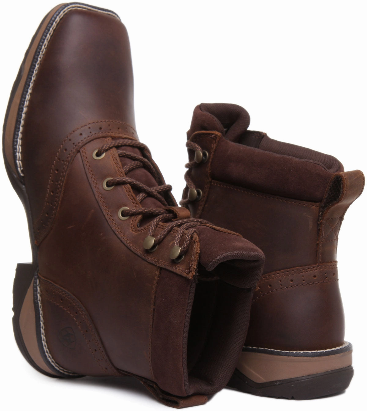 Ariat Anthem Lacer In Dark Brown For Women Outdoor Adventure