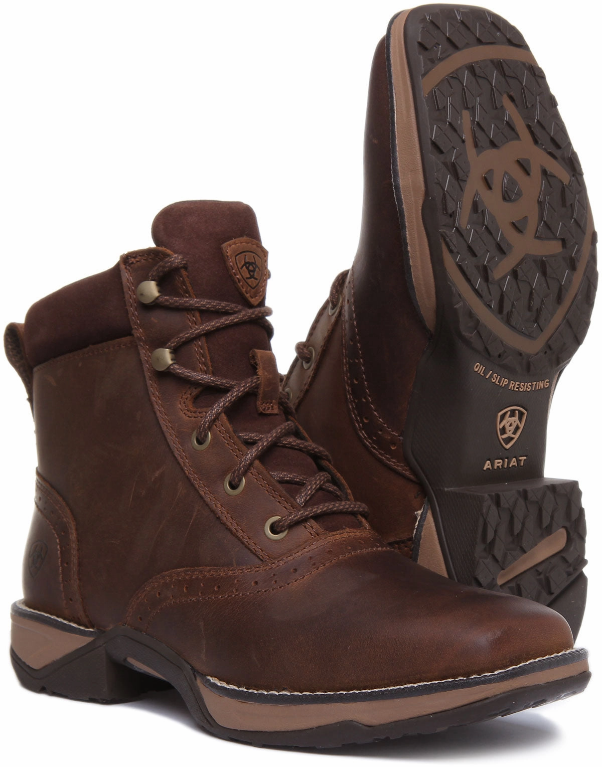Ariat Anthem Lacer In Dark Brown For Women Outdoor Adventure