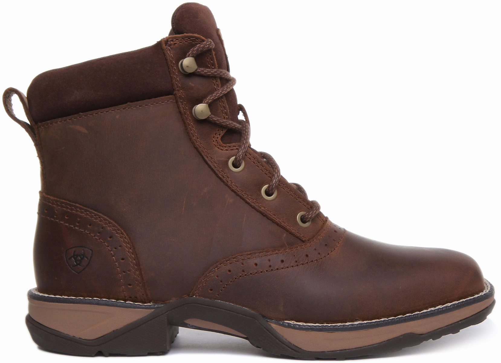 Ariat Anthem Lacer In Dark Brown For Women Outdoor Adventure