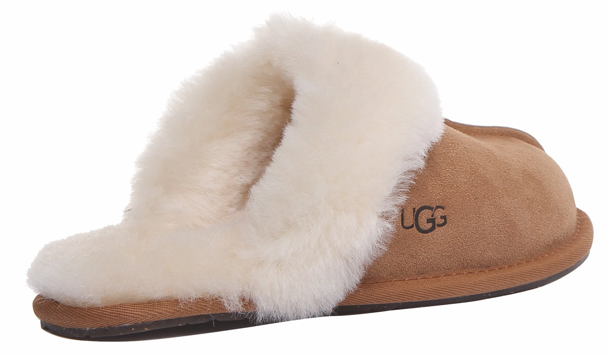 Easy Walk Step Ugg Australia Scuffette 2 In Chestnut