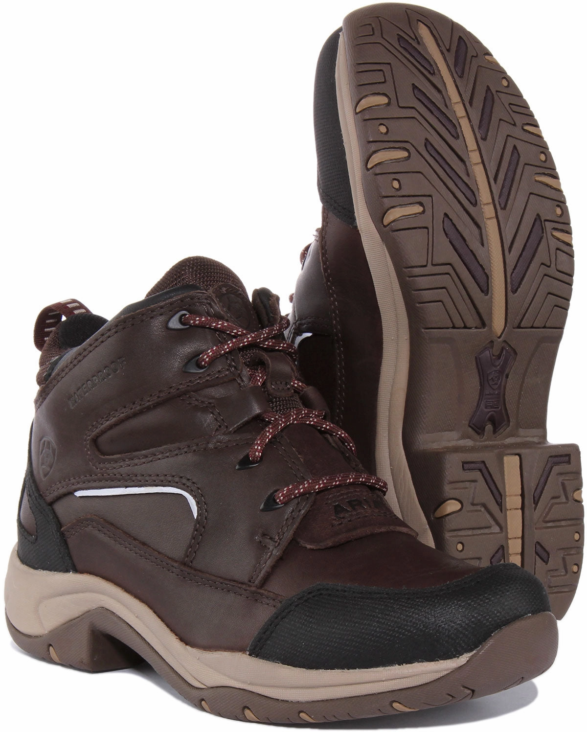 Eva Midsole Ariat Telluride II H0 In Brown For Women