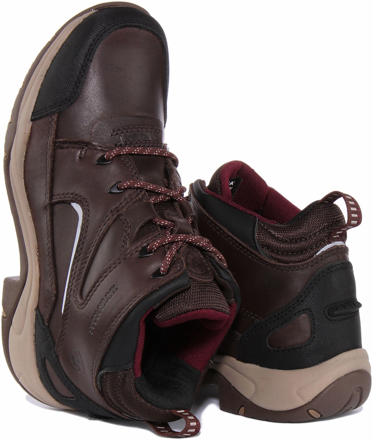 Eva Midsole Ariat Telluride II H0 In Brown For Women