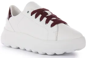 Geox Spherica Ec4.1 In White For Women Resilient