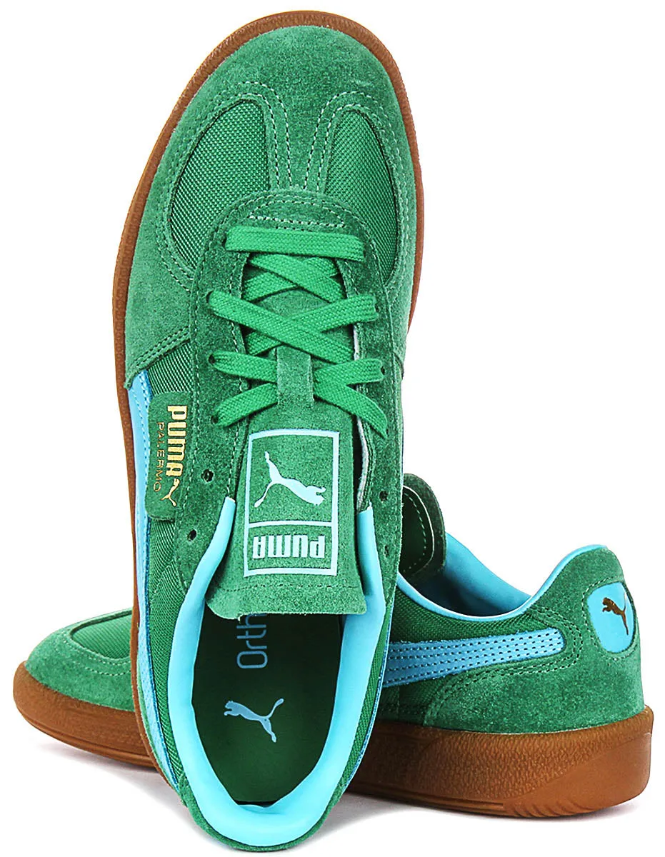 Pro Fit Puma Palermo Vintage In Green Blue