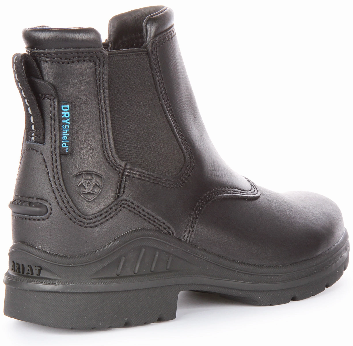 Trail Agility Ariat Barnyard Twin Waterproof In Black For Women