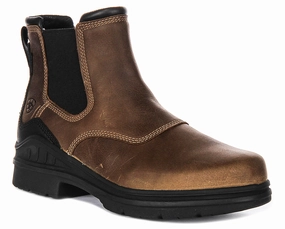 Outdoor Exploration Trekking Trip Ariat Barnyard Twin Chelsea Boot In Brown