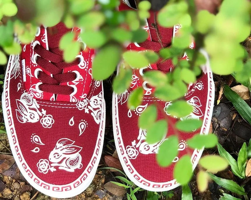 VANS Era Year Of The Rabbit Unisex (LF) Neutral Style